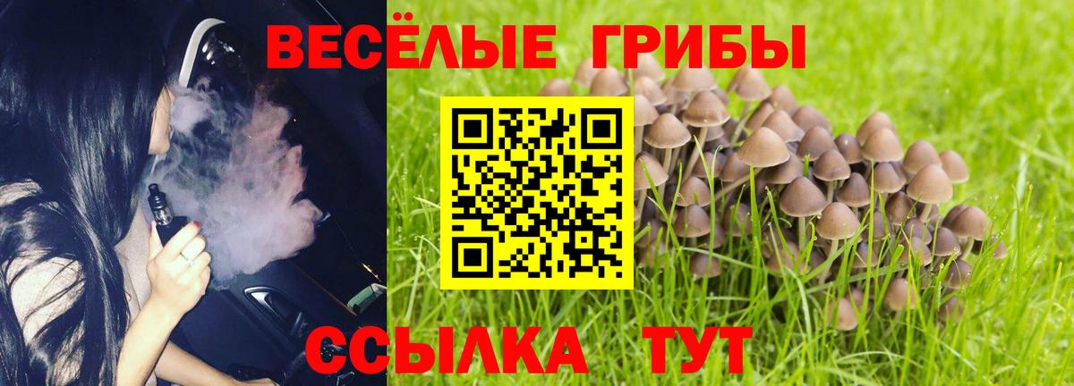 Калининград  Галлюциногенные грибы MAGIC MUSHROOMS  Вход с VPN  Галлюциногенные грибы мицелий 